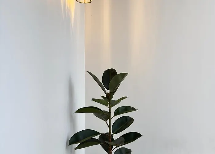 Momo One Villa *